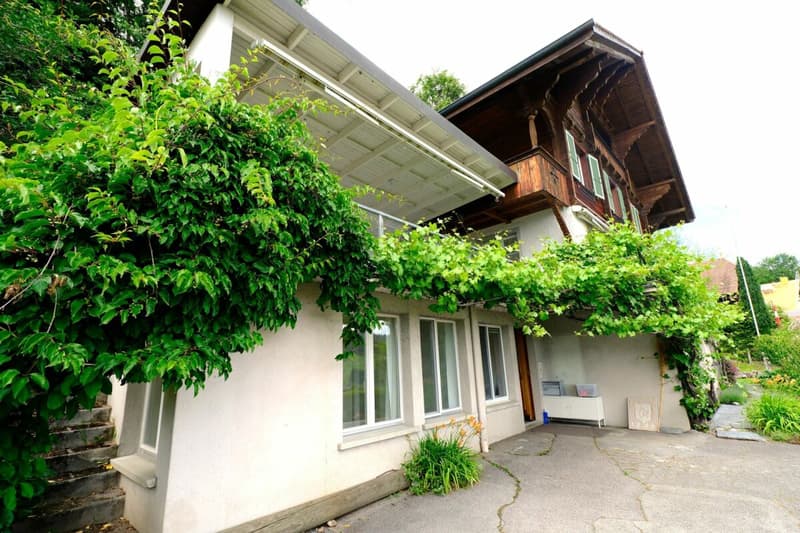 LARGE REAL ESTATE - Charming Chalet with Lake and Mountain View in Goldiwil (3)