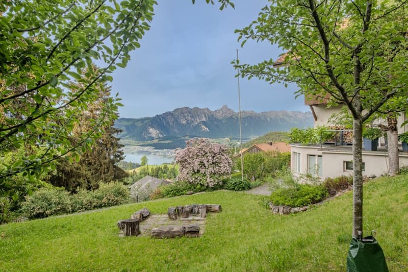 LARGE REAL ESTATE - Charming Chalet with Lake and Mountain View in Goldiwil (4)
