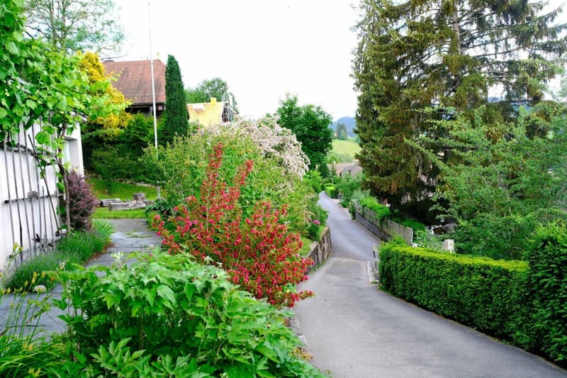 LARGE REAL ESTATE - Charming Chalet with Lake and Mountain View in Goldiwil (5)