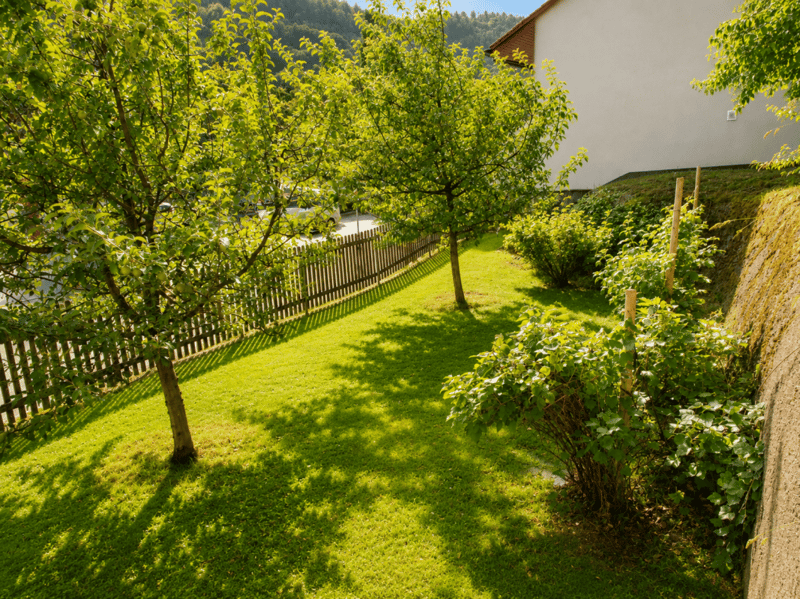 LARGE REAL ESTATE - Residential and commercial property with development potential on Burgstrasse in Thun Copy (4)