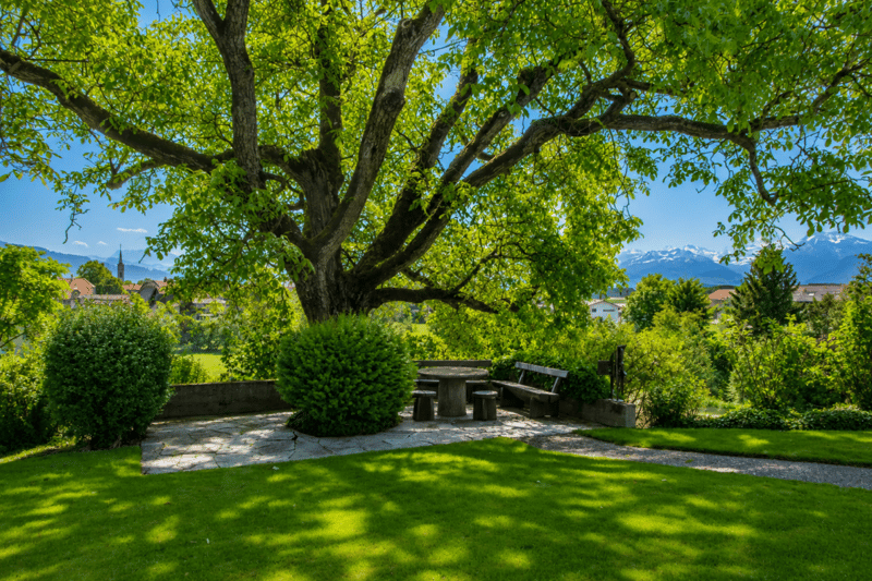 GROSSEN IMMOBILIEN - Charmante Villa mit Pool, grossem Parkgrundstück und unverbaubarer Aussicht (6)