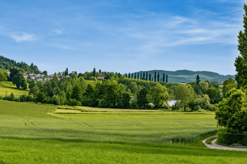 GROSSEN IMMOBILIEN - Charmante Villa mit Pool, grossem Parkgrundstück und unverbaubarer Aussicht (8)
