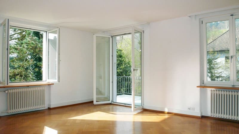 GROSSEN IMMOBILIEN - Villa mit drei Wohneinheiten und grossem Entwicklungspotenzial (6)