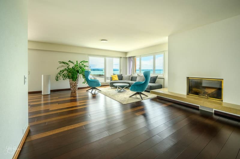 Exceptional Attic (4)