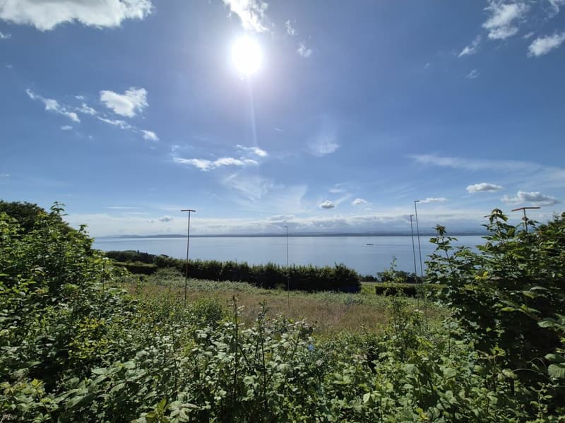 Terreno eccezionale alla Grande Béroche - 2310m2 di opportunità da cogliere (3)
