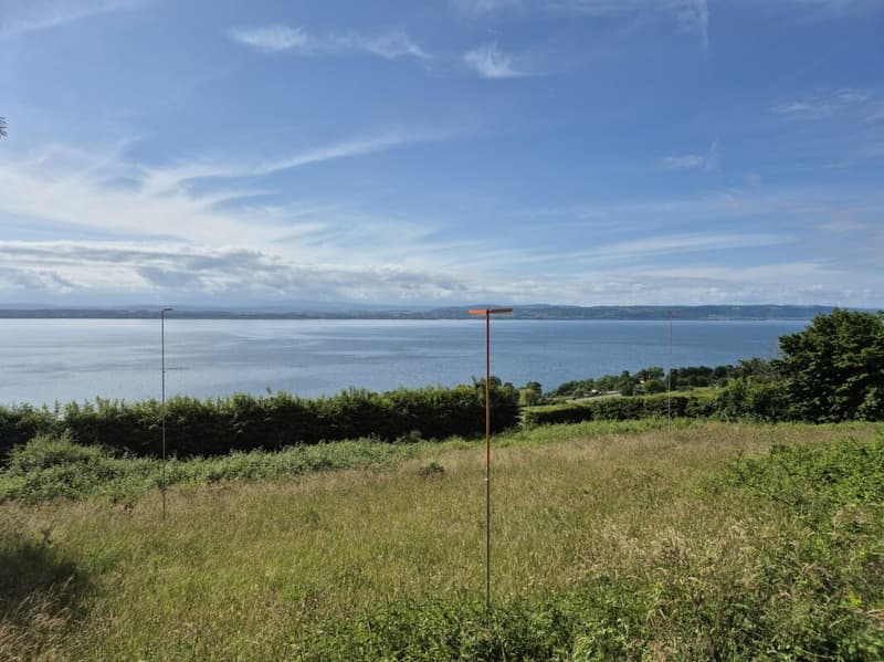 Terreno eccezionale alla Grande Béroche - 2310m2 di opportunità da cogliere (2)