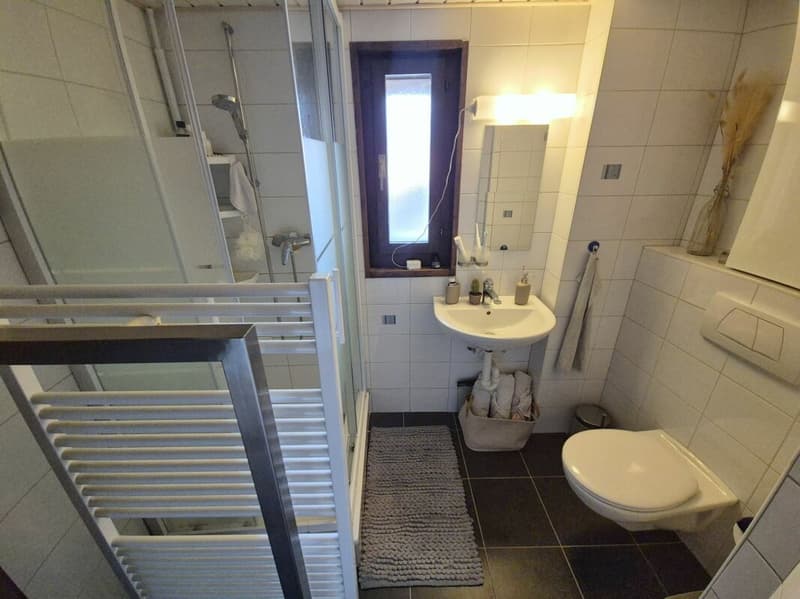 Spacious 3-room apartment - 1 bedroom (9)