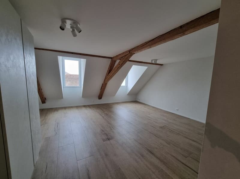 Appartement de 2,5 pièces + espace sous comble (5)