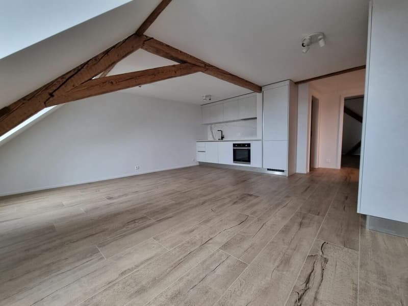 Appartement de 2,5 pièces + espace sous comble (2)
