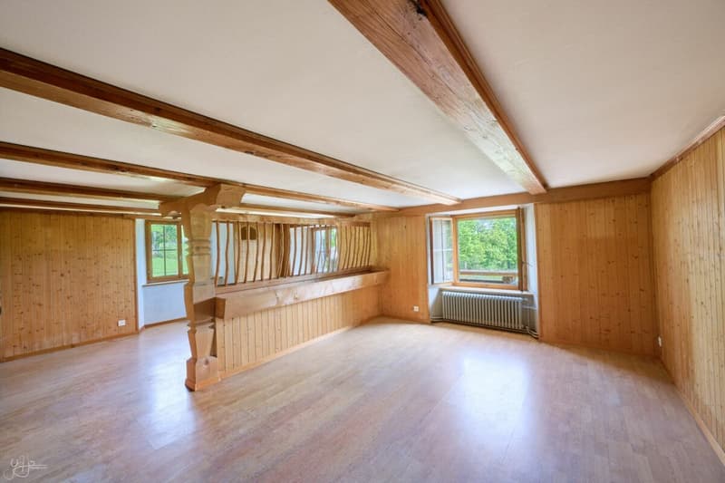 Old farm to renovate in the heart of nature (7)