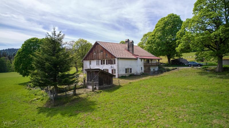 Old farm to renovate in the heart of nature (3)