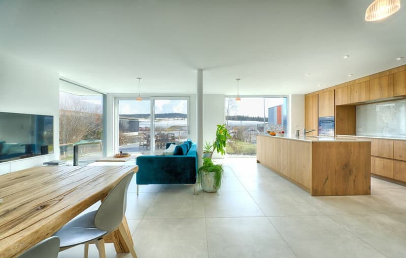 Very beautiful recent 5.5-room apartment with garden (3)