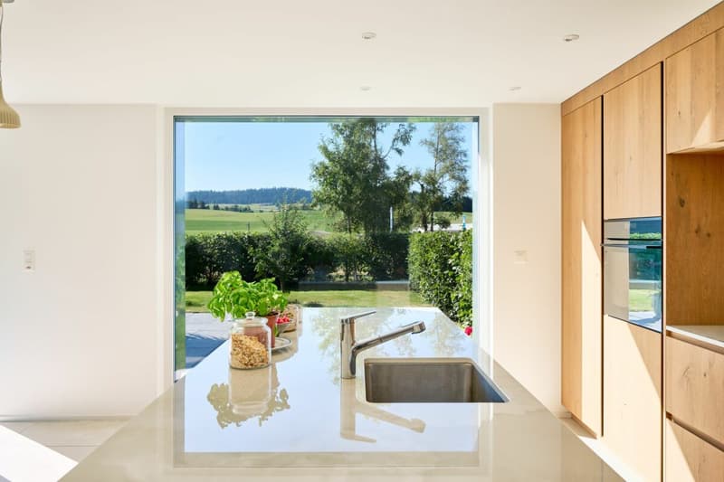 Very beautiful recent 5.5-room apartment with garden (1)