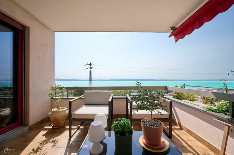 Appartement de 4.5 pièces avec vue imprenable sur le lac (1)