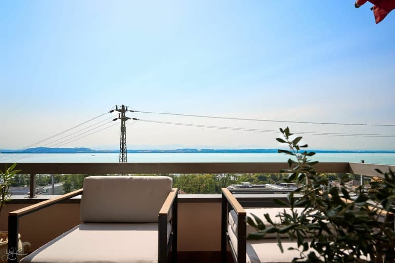 Appartement de 4.5 pièces avec vue imprenable sur le lac (2)