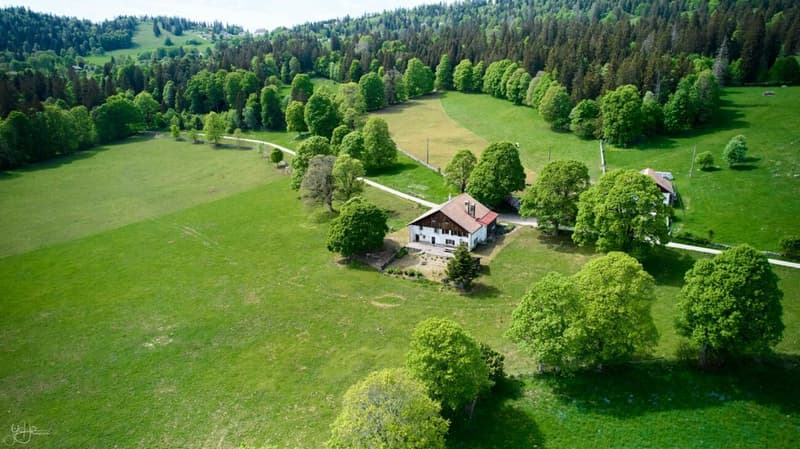 RESERVE - Ancienne ferme à rénover au coeur de la verdure (2)