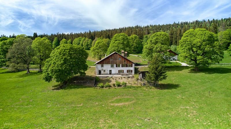 RESERVE - Ancienne ferme à rénover au coeur de la verdure (1)