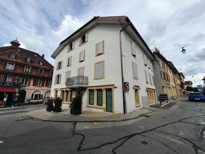 Appartement de 1,5 pièces avec balcon (1)