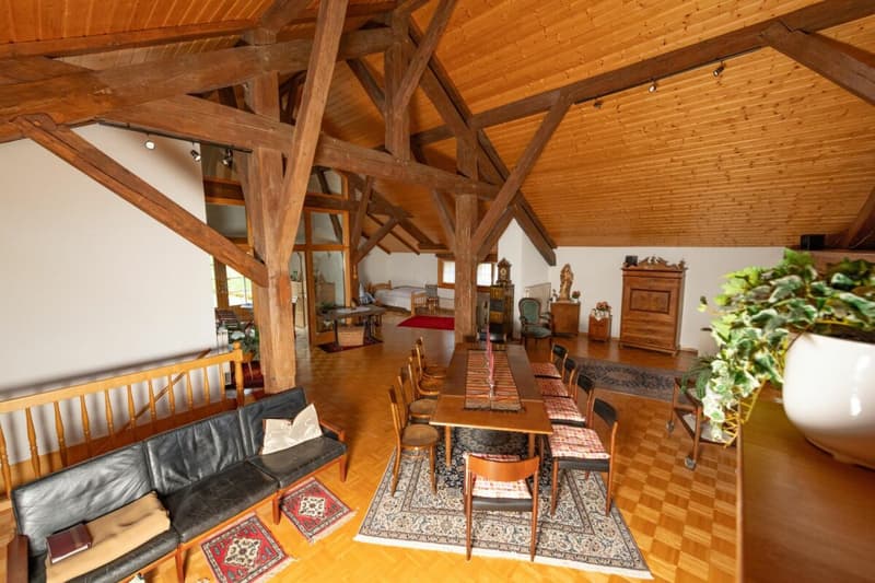 Ancienne ferme entièrement rénovée (12)