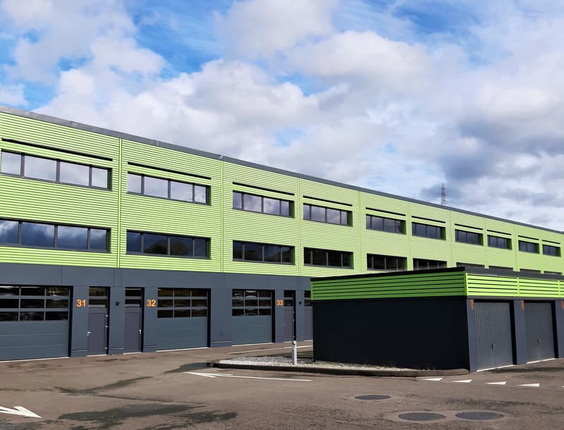 Green and grey exterior, multiple windows, garage doors, driveway