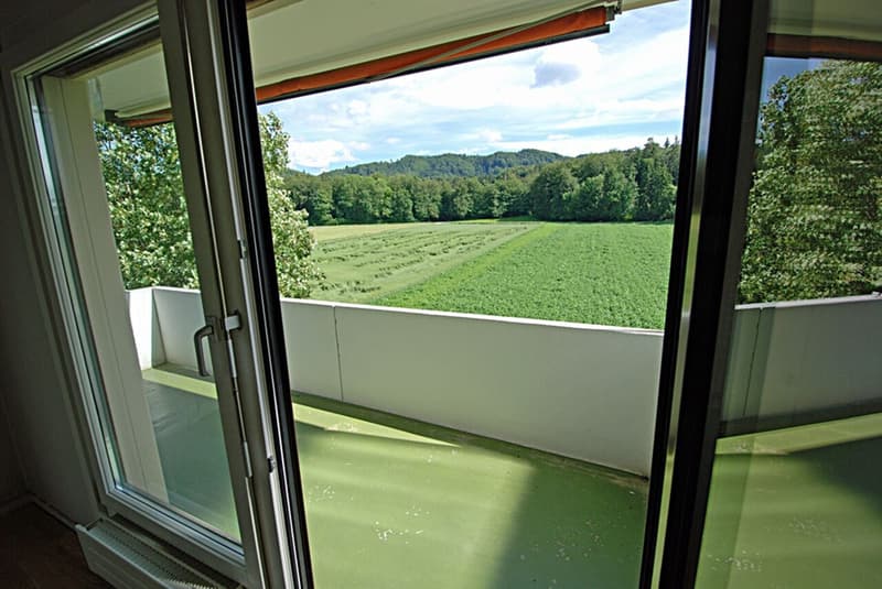 Habitation proche de la nature à Urtenen-Schönbühl (2)