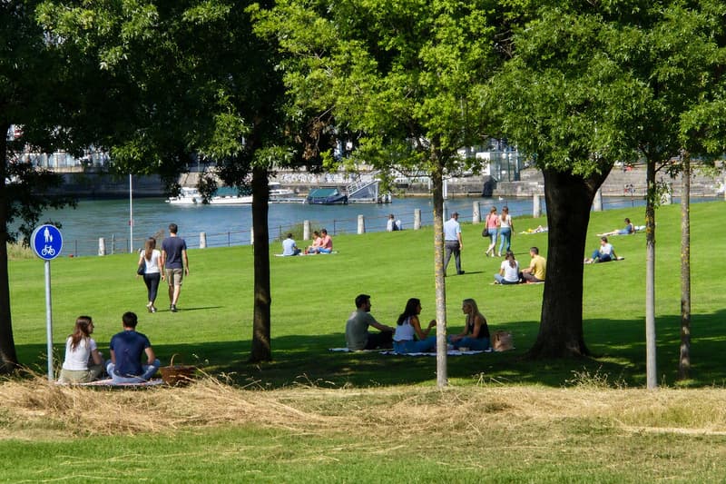 Rheinpark vor dem Haus