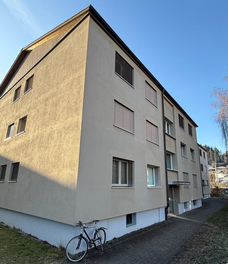 Renditeobjekt mit ca. 4.8% Soll-Bruttorendite (1)
