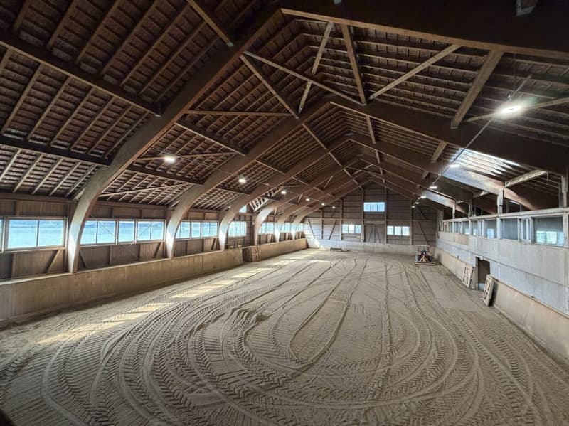 Inquilino ricercato! Reithalle Burgdorf incl. arena di equitazione (5)