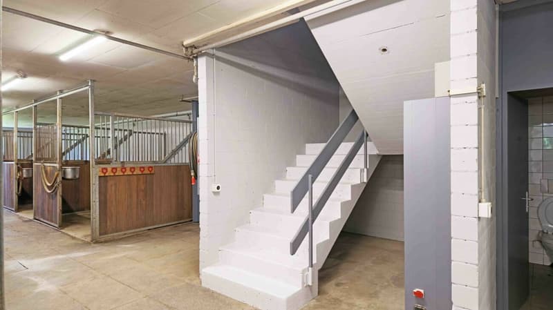 Inquilino ricercato! Reithalle Burgdorf incl. arena di equitazione (3)