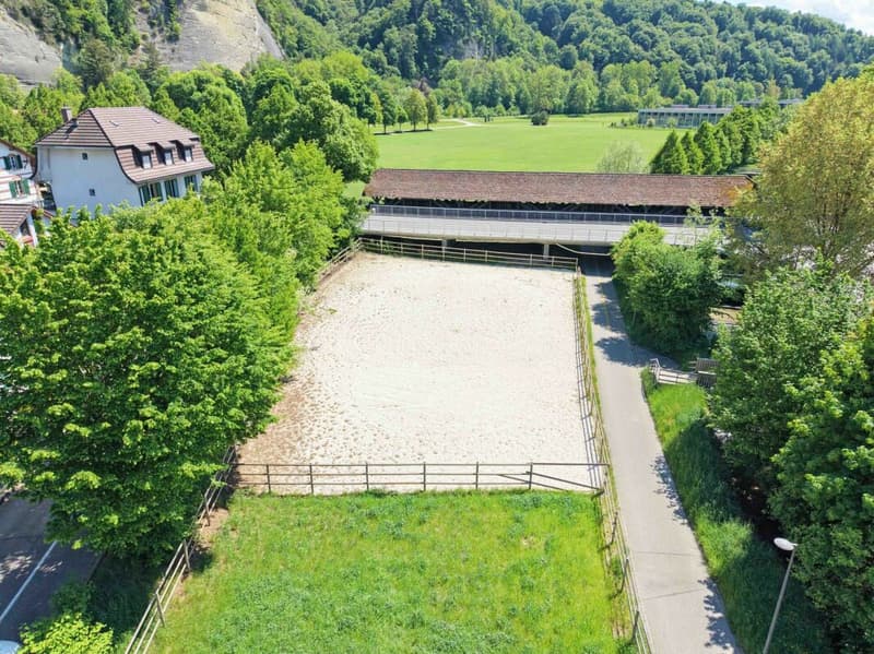 Inquilino ricercato! Reithalle Burgdorf incl. arena di equitazione (2)