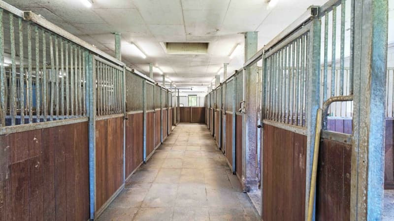 Inquilino ricercato! Reithalle Burgdorf incl. arena di equitazione (12)