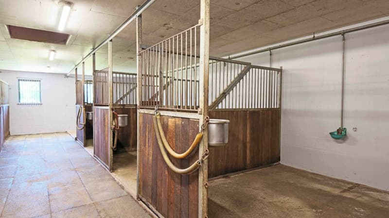 Inquilino ricercato! Reithalle Burgdorf incl. arena di equitazione (11)