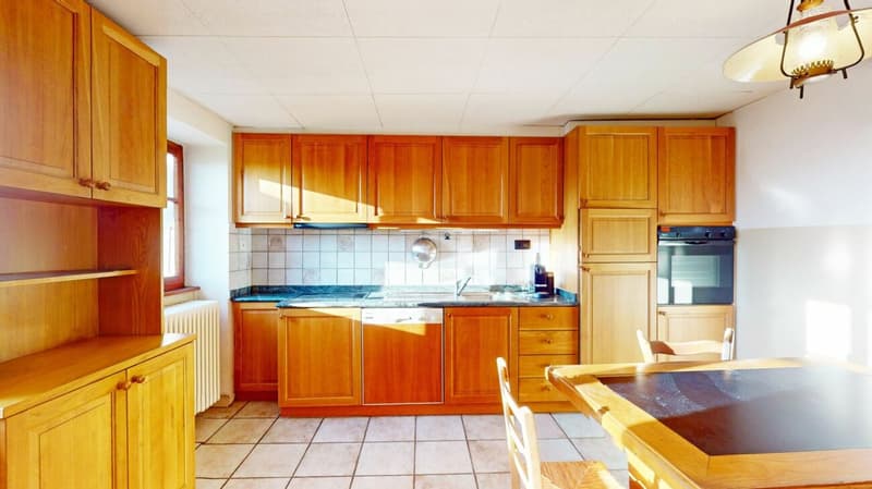 Oasi residenziale ticinese con giardino (3)