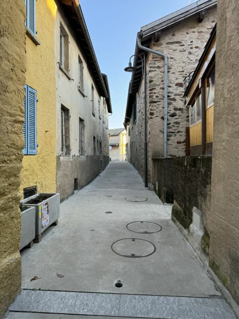 Oasi residenziale ticinese con giardino (13)