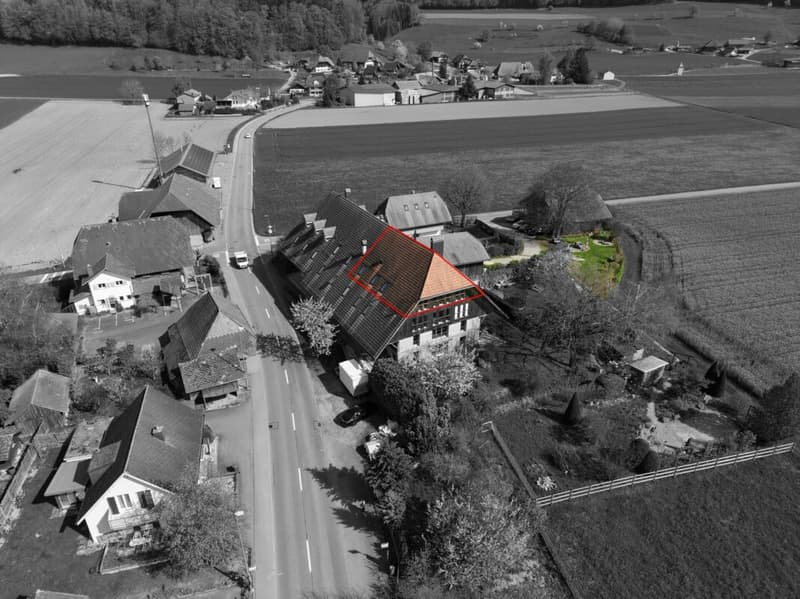 Vue rêveuse et beaucoup d'espace près de Herzogenbuchsee (2)