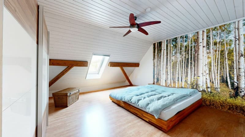 Vue rêveuse et beaucoup d'espace près de Herzogenbuchsee (7)