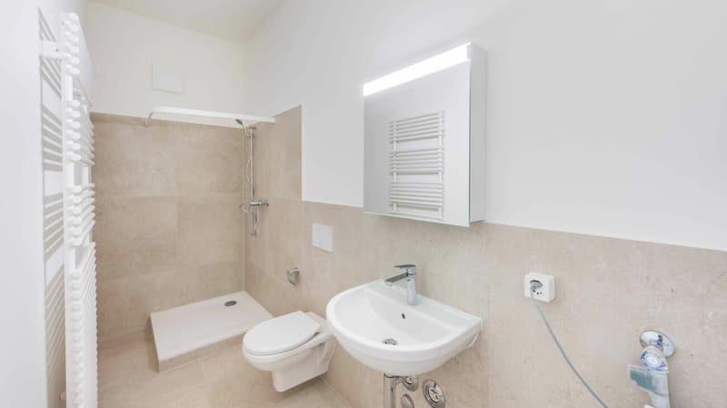 Casa multifamiliare completamente affittata, rendita solida (9)