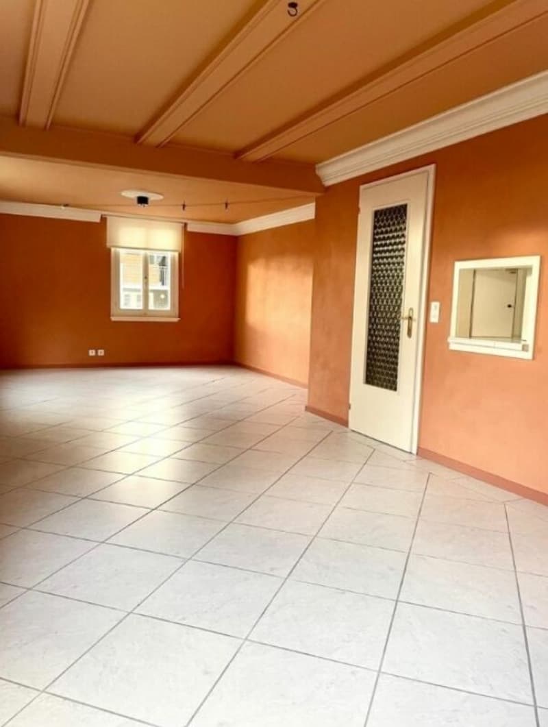 Appartamento 1.5 locali (3)