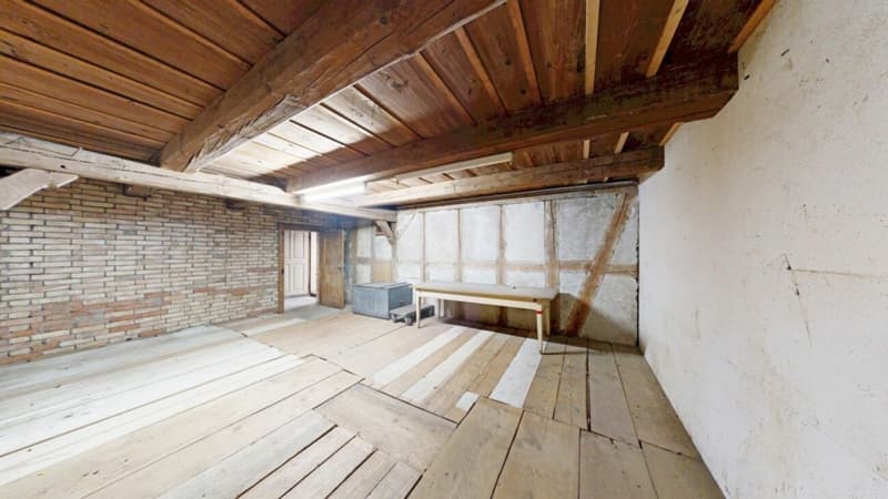 Historisches Juwel mit Entwicklungspotenzial (11)