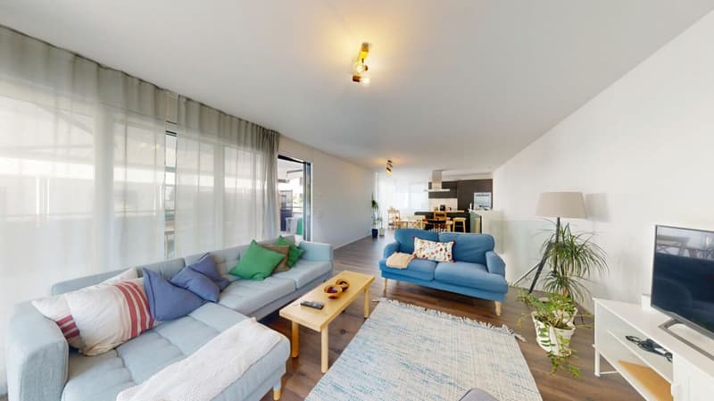 Appartement attique duplex exclusif directement sur l'Aare (5)