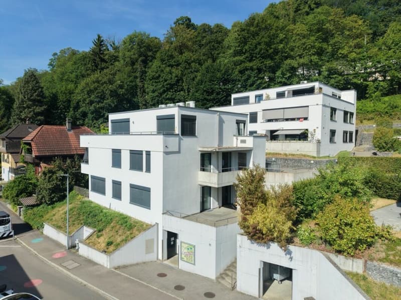 Appartement attique duplex exclusif directement sur l'Aare (13)