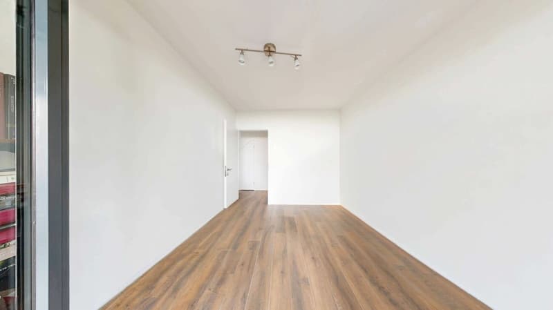 Exclusive Duplex Attic Apartment directly on the Aare (8)