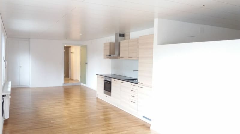 Im schönen und freundlichen Ort Diessbach bei Büren (nähe Lyss) haben wir ab sofort folgende Wohnung zu vermieten: 55m2 grosse Loftstil, 2.5 Zimmer Erdgeschosswohnung mit Garten (2)