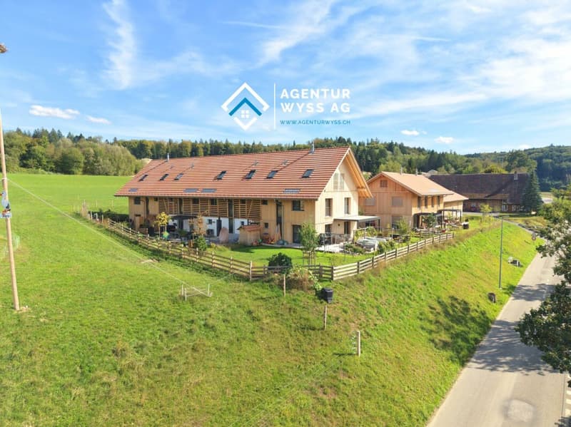 Modernes EFH mit vielseitigem Raumangebot (1)