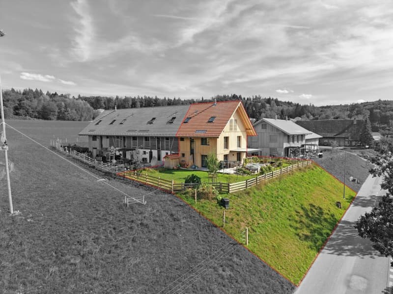 Modernes EFH mit vielseitigem Raumangebot (2)