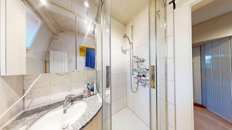 Einfamilienhaus mit Charakter und Potential (9)