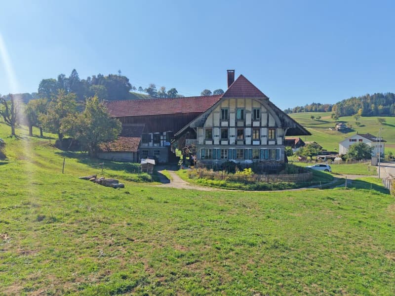 Bauernhaus mit grossem Umschwung (2)