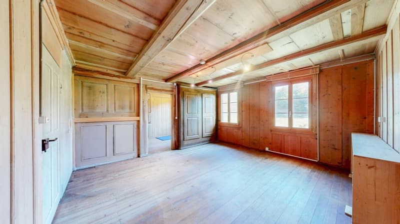 Bauernhaus mit grossem Umschwung (12)