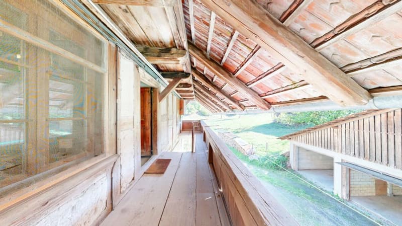 Bauernhaus mit grossem Umschwung (16)