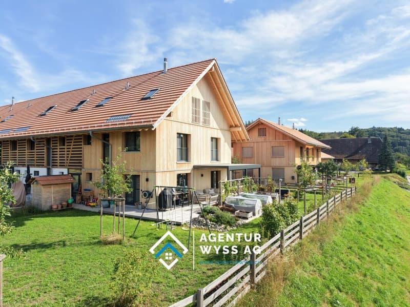 Modernes EFH mit vielseitigem Raumangebot (1)